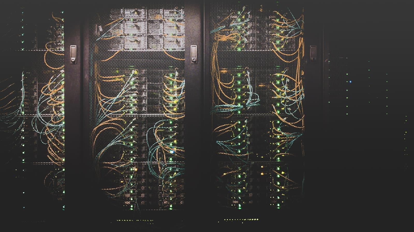 Rows of patch cables plugged into a data centre switch, representing the local server infrastructure behind openmemory mcp